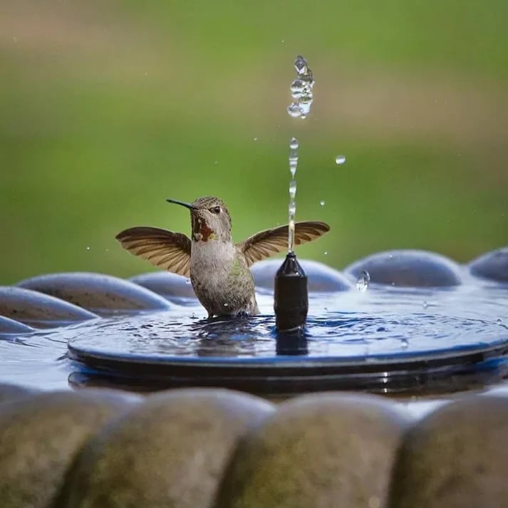 ⛲️Solar Powered Bird Bath Fountain Pump， 1.5W Solar Panel Kit Water Pump