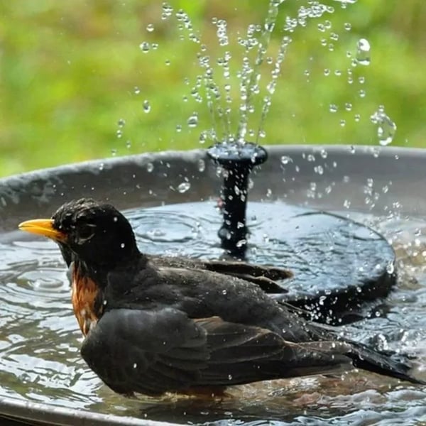 ⛲️Solar Powered Bird Bath Fountain Pump， 1.5W Solar Panel Kit Water Pump